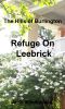 [The Hills of Burlington 04] • Refuge on Leebrick